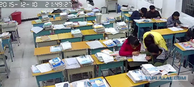 За что я люблю китайцев