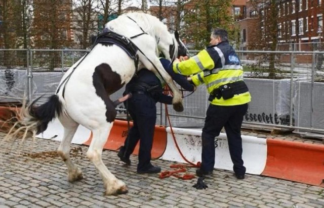 Неприятности случаются