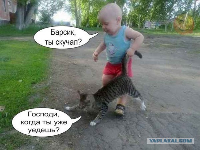 Картинки, демотиваторы и прочие приколы с просторов необъятного