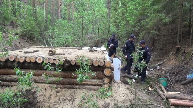 Житель Костромы построил в лесу землянку, чтобы спастись от апокалипсиса и коллекторов