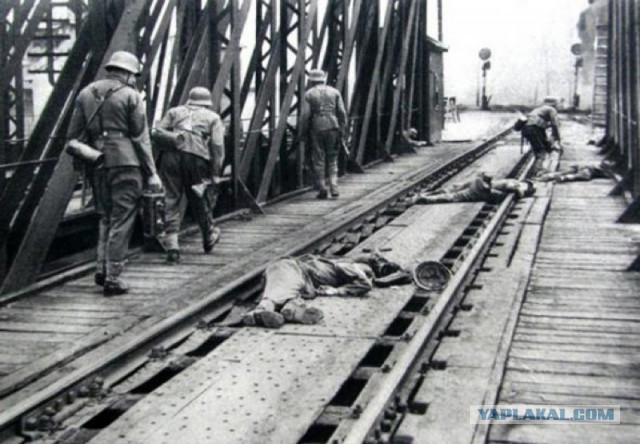День начала Великой Отечественной войны, 22 июня 1941