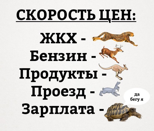 Юмор не для всех