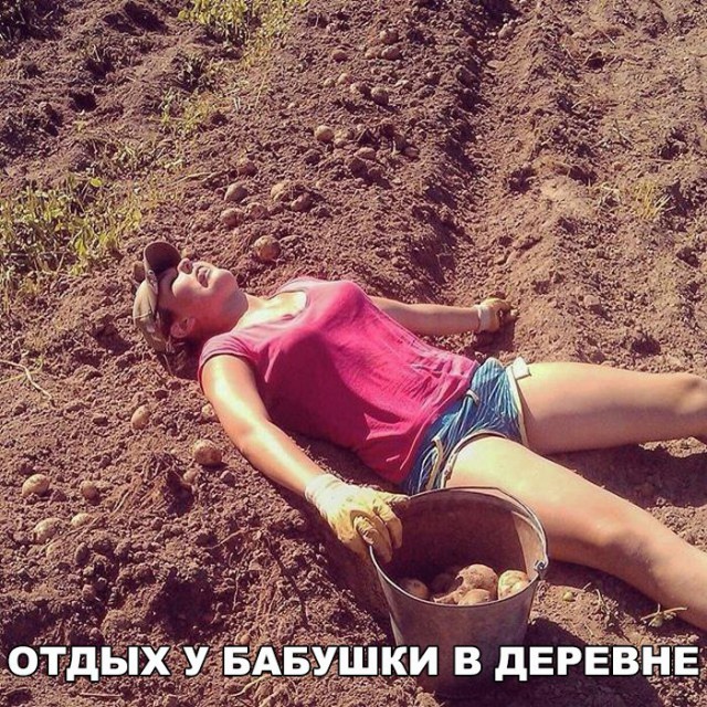 49 забавных картинок