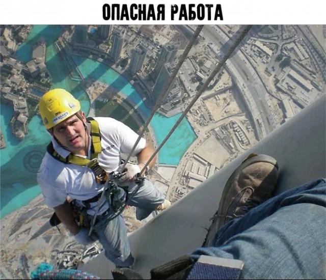 Работа не волк, но картинки сами себя не посмотрят!