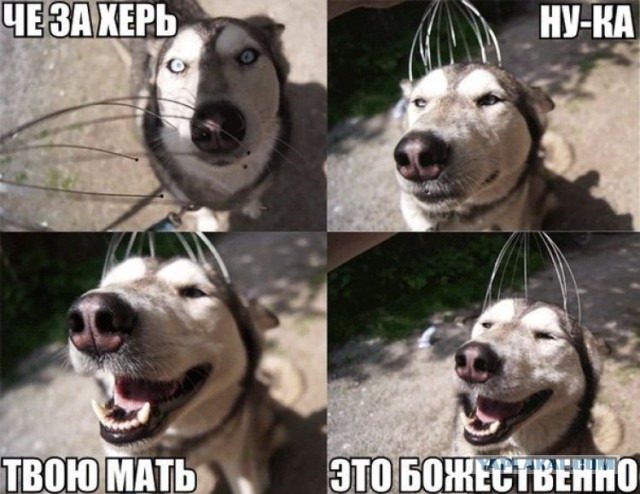 Смешные комментарии из социальных сетей 23.03.2018