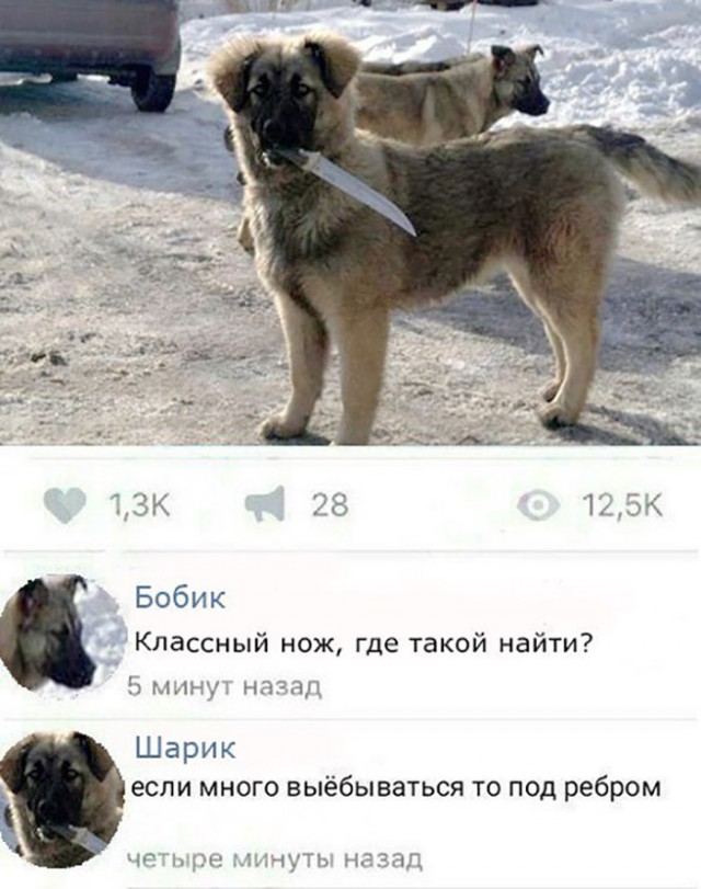 Смешные комментарии из социальных сетей 30.03.2018