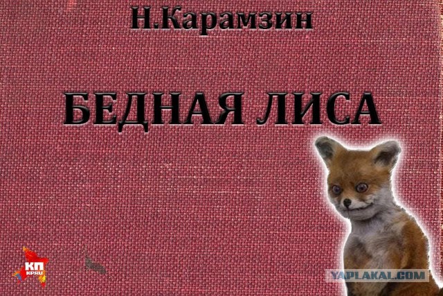 Как я с лисой воевал