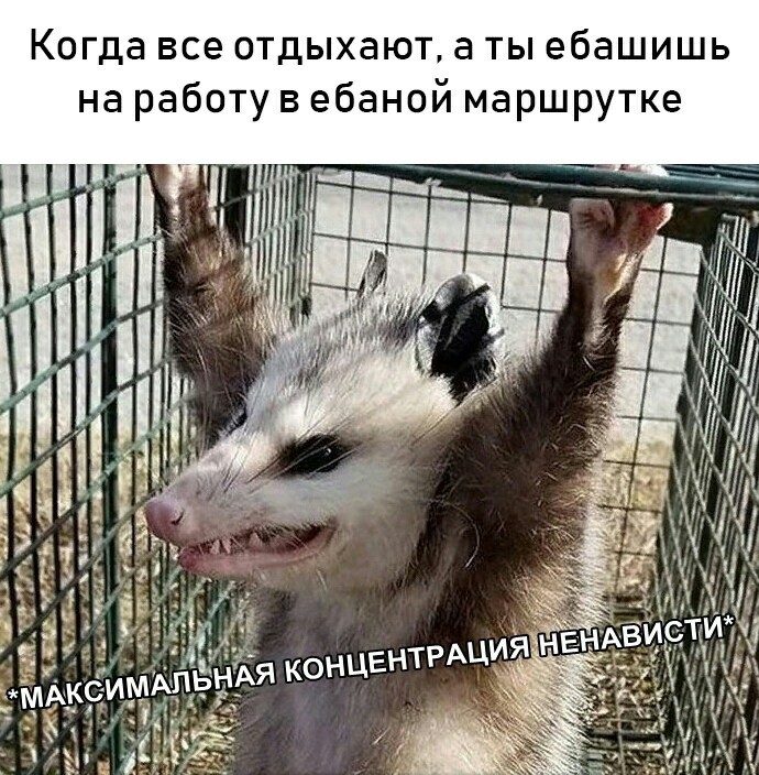 Субботняя адовая вакханалия подъехала