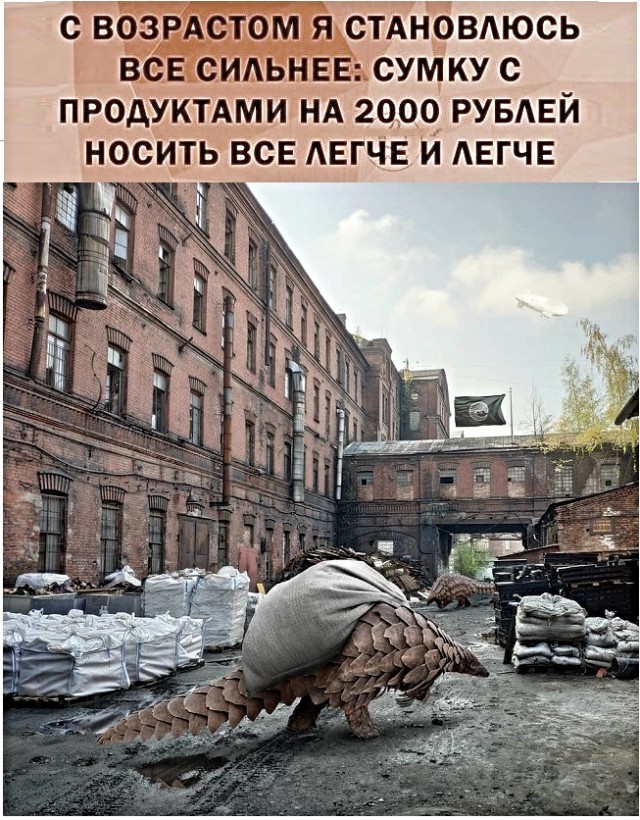Картинки с надписями и анекдоты
