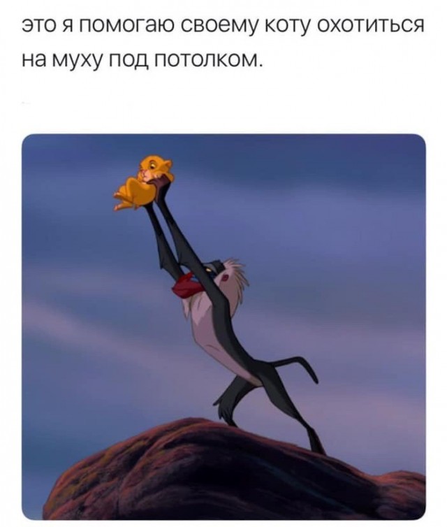 Немного картинок для настроения
