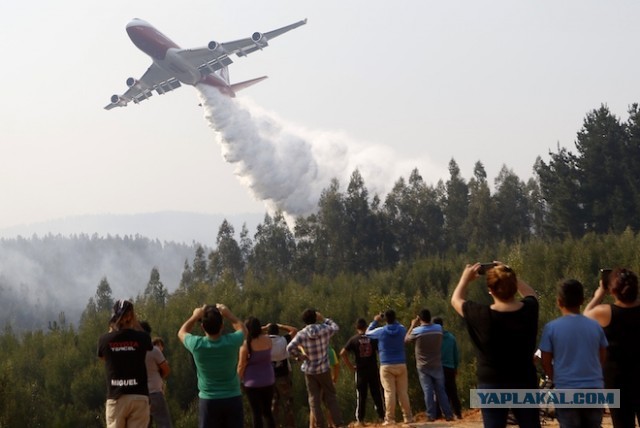 Трамп предложил помощь в тушении пожаров