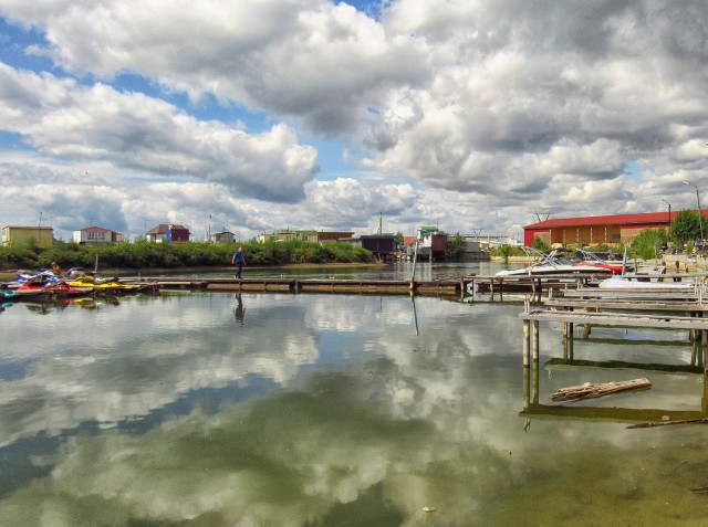 Шурпа обыкновенная, на природе