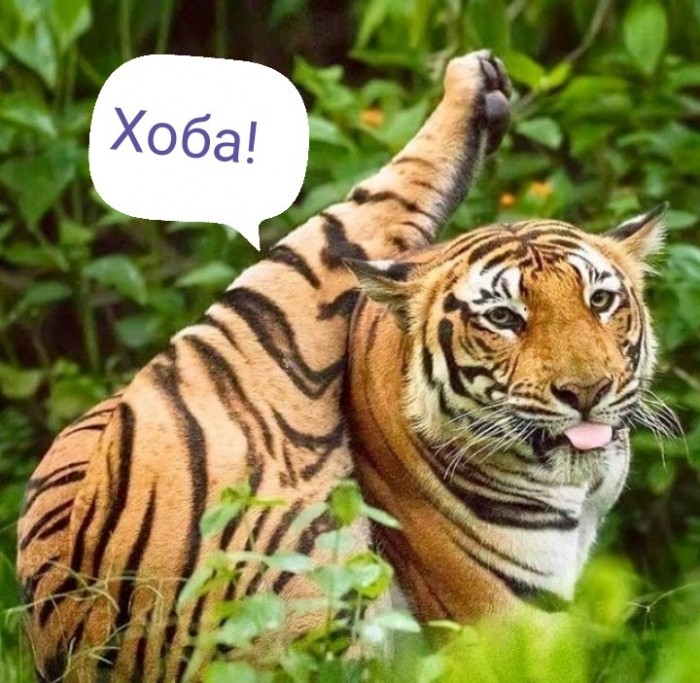 Картинки, которые я НЕ видел на портале