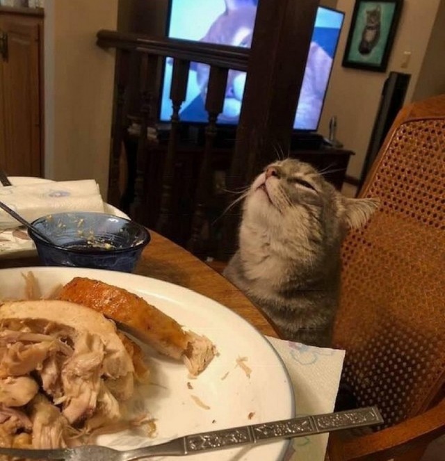 Зверушки
