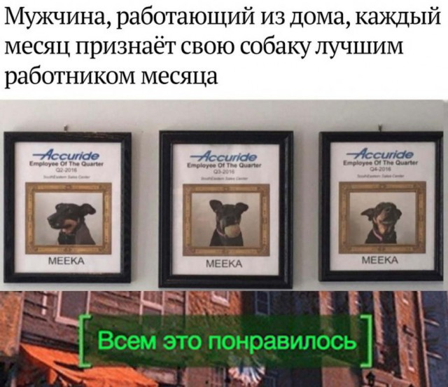 Подборка баянов