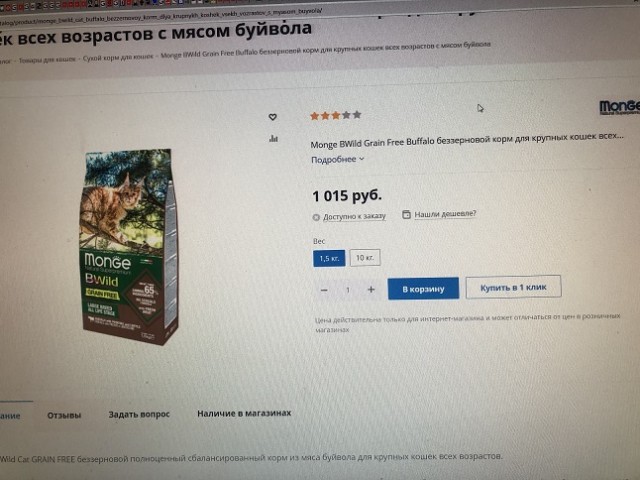 Кот, которому 101 человеческий год