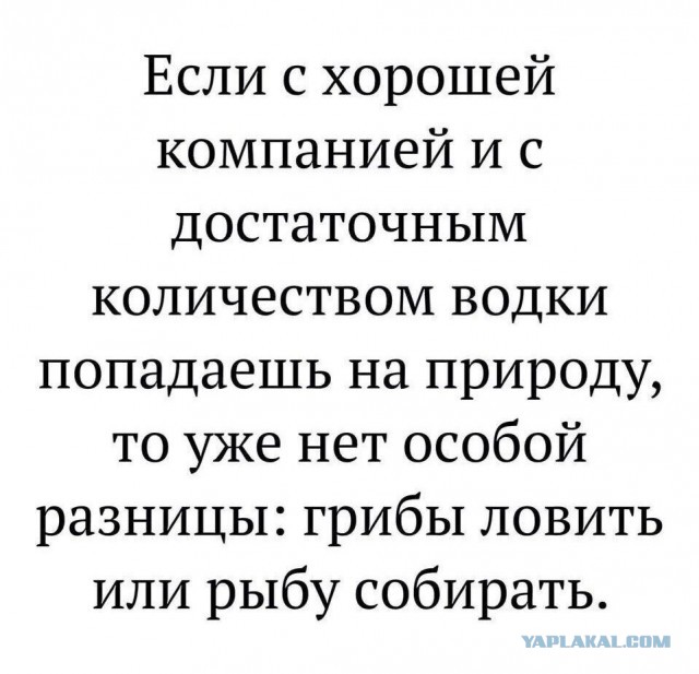 Бредзона 06.07.2020