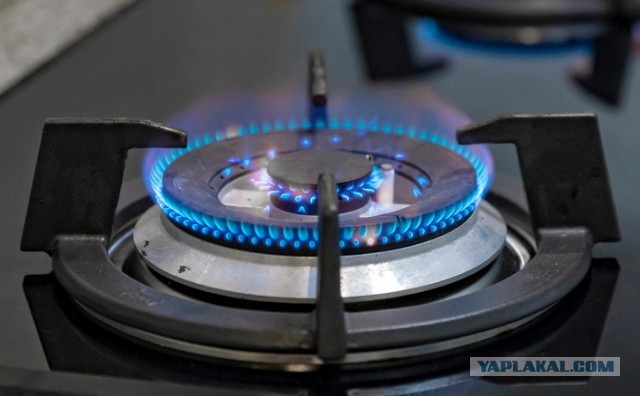 ФАС опубликовала приказ о повышении цен на газ для населения с 1 августа