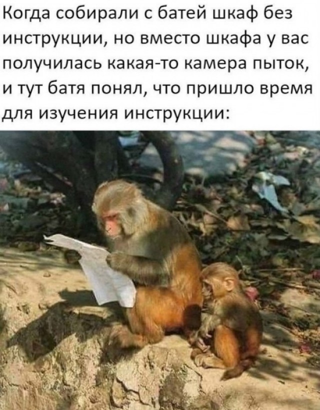 Юмор в картинках 20.07.20