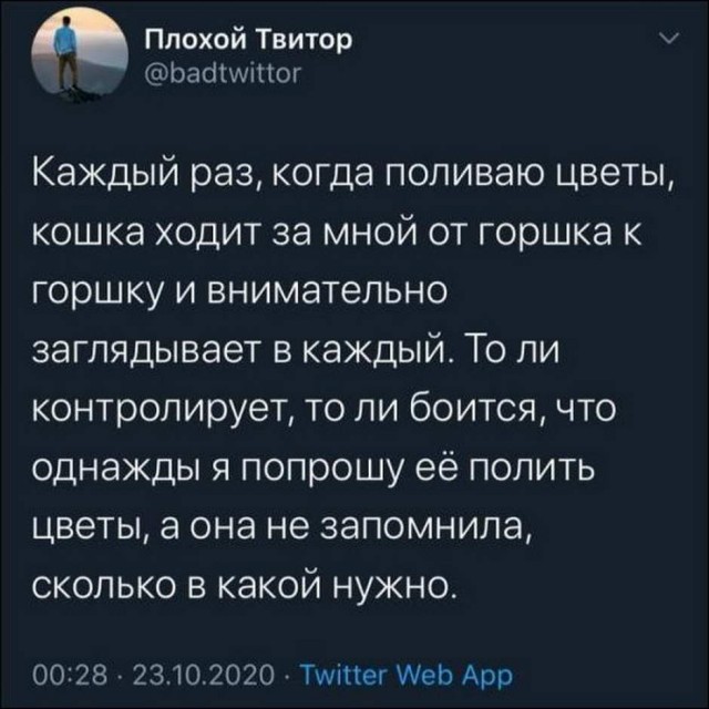 Картинки с надписями и всякие жизненные фразы