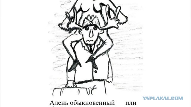 Что есть современный брак и почему это не семья