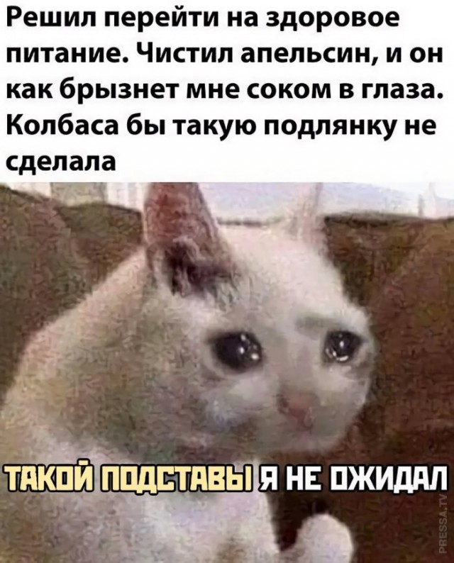 Картинки и мемы для настроения 014