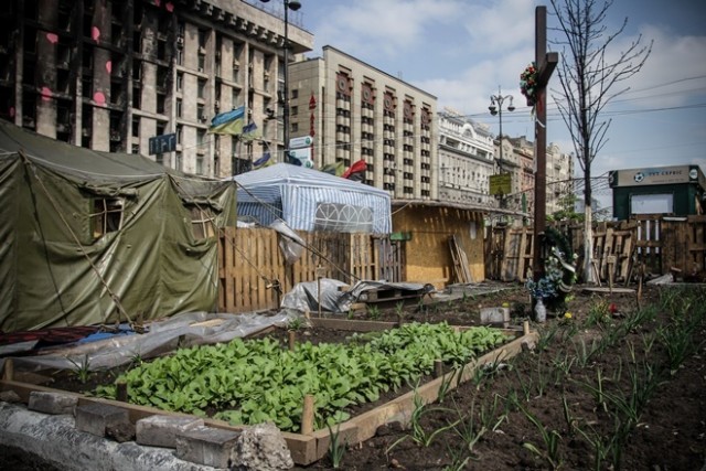 В Москве пенсионерка за лето заработала 17 млн рублей на продаже овощей