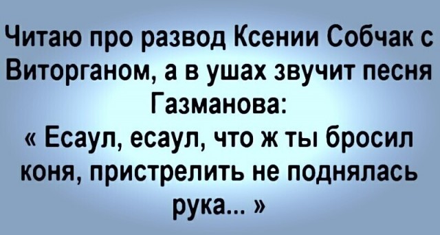 Фотки и картинки: юморные и красивые, забавные и милые 28.12.20