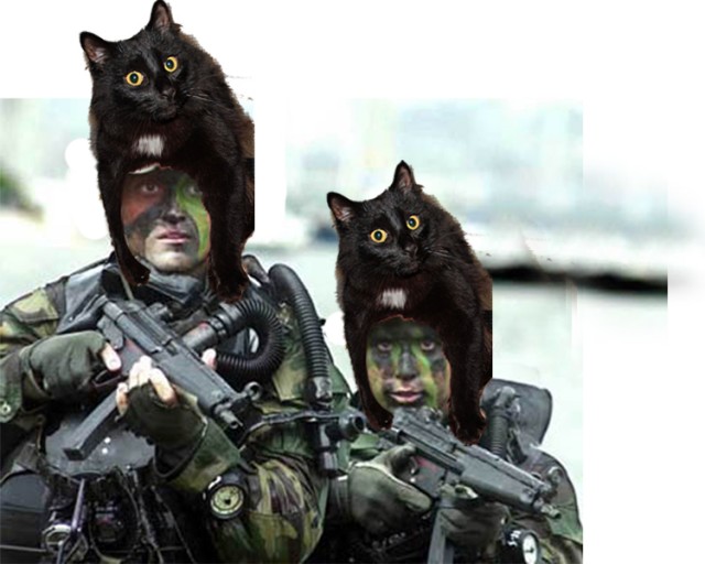 Эпичный кот