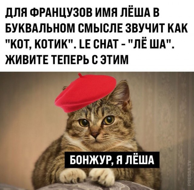Бредзона 08.02.2021