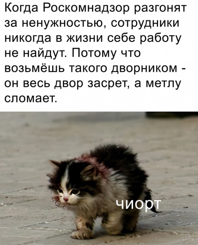 Весёлый полтишок 13.03