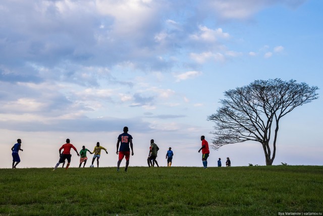 Уганда: самая настоящая Африка с гориллами и носорогами!