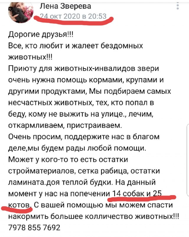 В Севастополе доберман набросился на хозяйку приюта бродячих собак, он покусал женщину и случайного прохожего