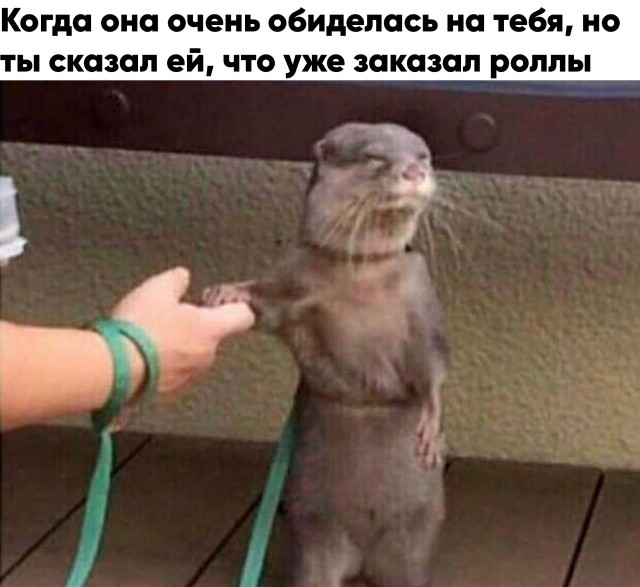 Весёлый полтишок 21.03
