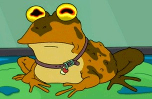 Необычная лягушка, Rain frog