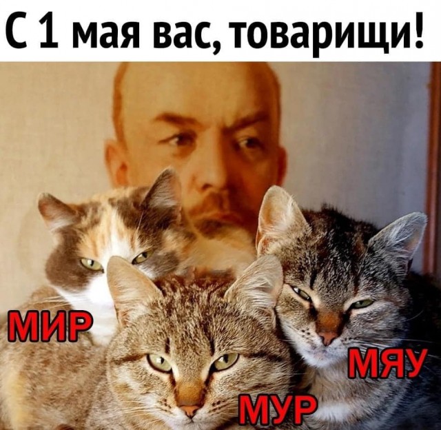 Деревенская Америка - 8