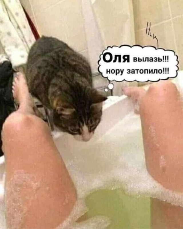 Так вот что в космосе снимают