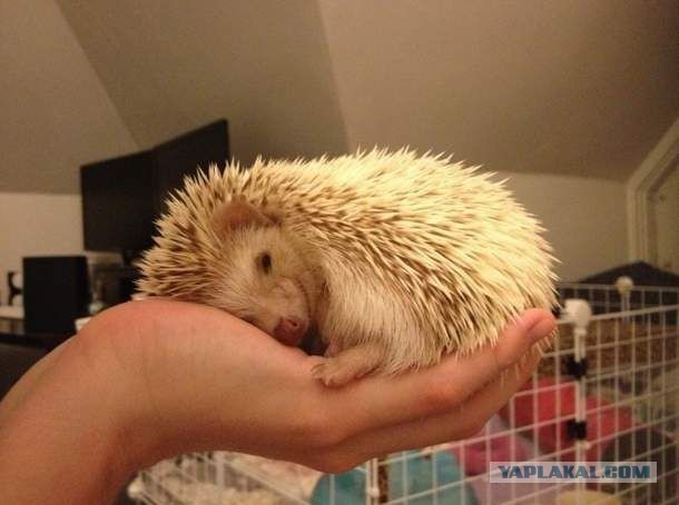 Обнимай меня полностью