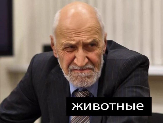 Столица Австрии, украинские бешенцы скачут. Наши дни