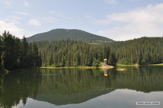 Карпаты 2011