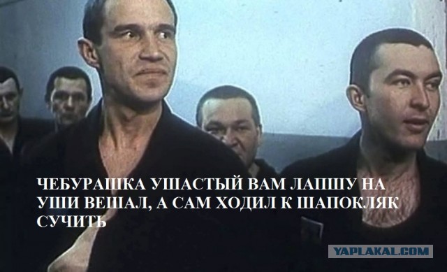 Чебурашка теперь в кино