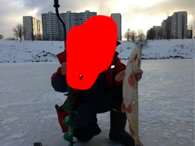 Сбежал с работы на пару часиков и вот что вышло...