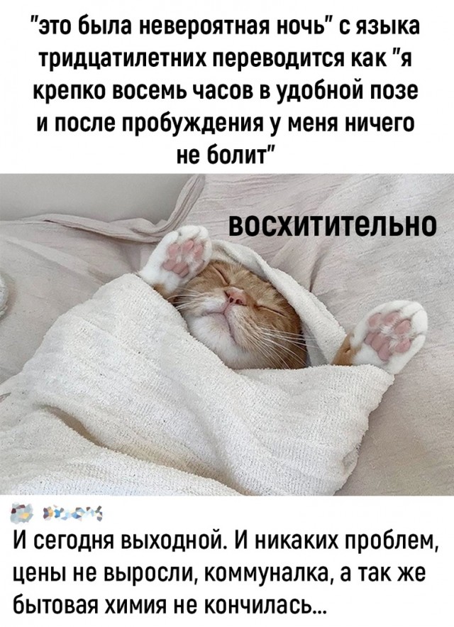 Так себе картинки 14.08.22