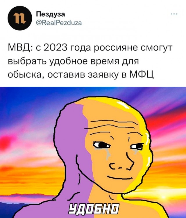 Весёлый полтишок 23.08.22