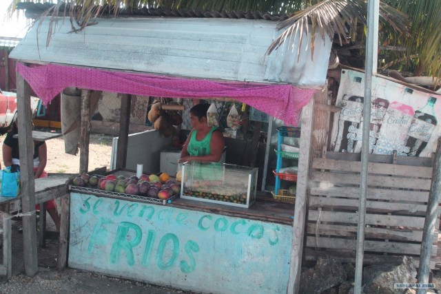 Поездка в Мексику (за деньги)