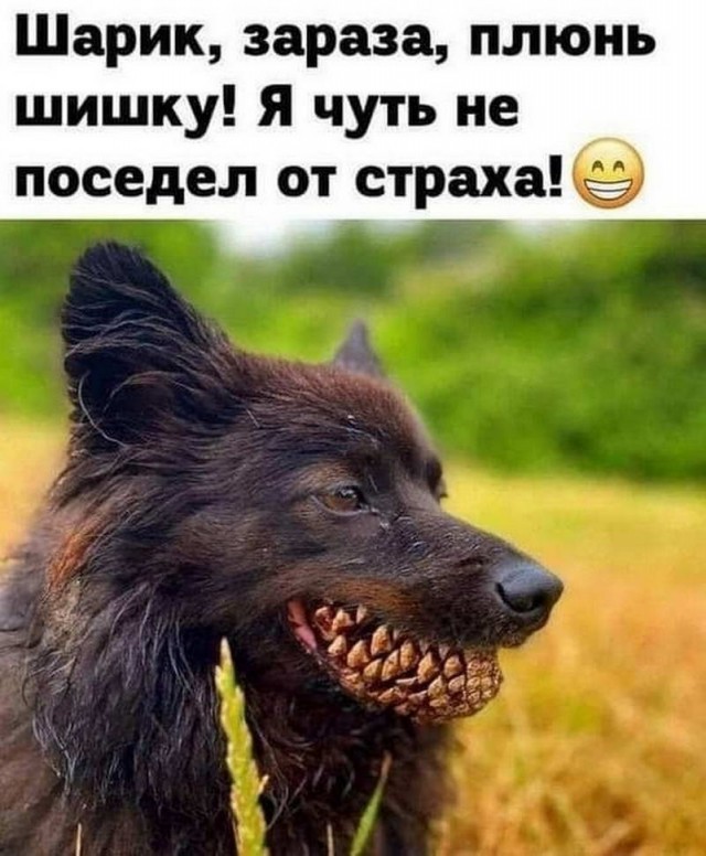 Немного картинок для настроения - 114