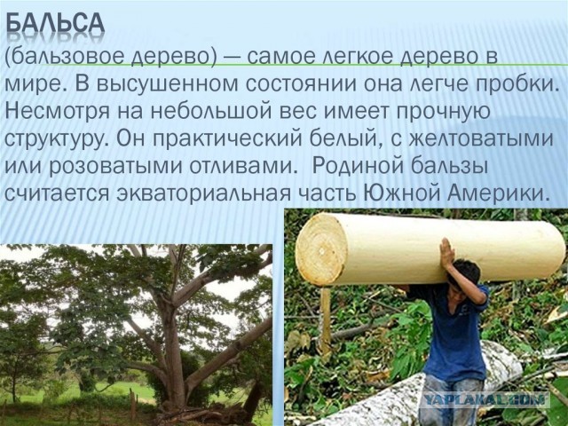 Расскажи ей, как тяжело в офисе работать