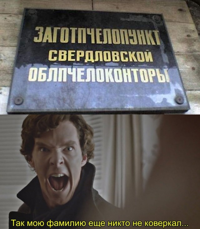 Весёлый полтишок 24.11.22
