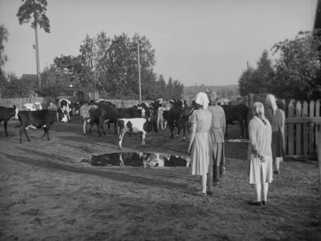 Интересные фотографии времен СССР