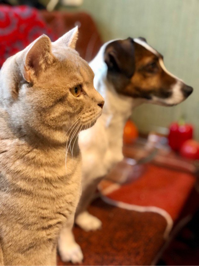Синхронное лежание